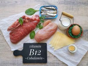 B12 Energi dan Metabolisme